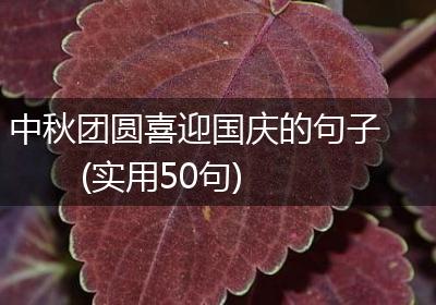 中秋团圆喜迎国庆的句子(实用50句)