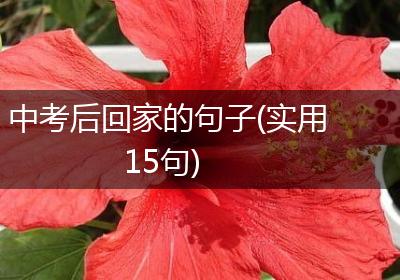 中考后回家的句子(实用15句)