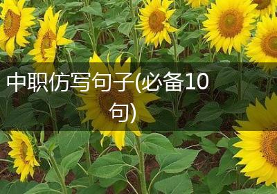 中职仿写句子(必备10句)