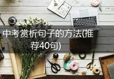 中考赏析句子的方法(推荐40句)