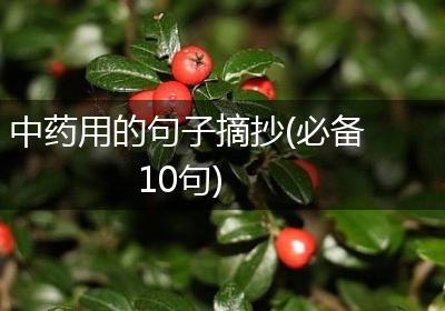 中药用的句子摘抄(必备10句)