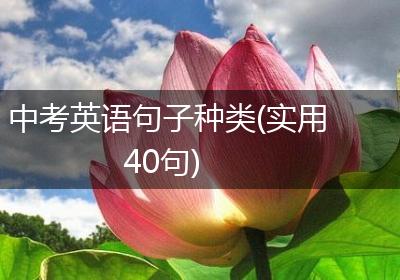 中考英语句子种类(实用40句)