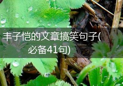 丰子恺的文章搞笑句子(必备41句)