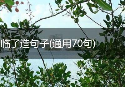 临了造句子(通用70句)