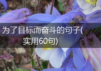 为了目标而奋斗的句子(实用60句)