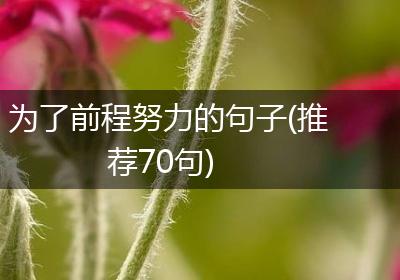 为了前程努力的句子(推荐70句)