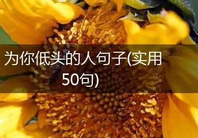 为你低头的人句子(实用50句)