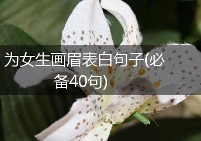 为女生画眉表白句子(必备40句)