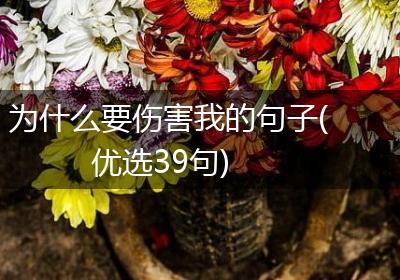 为什么要伤害我的句子(优选39句)