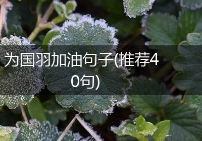 为国羽加油句子(推荐40句)