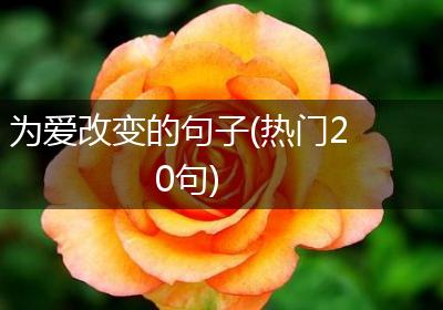 为爱改变的句子(热门20句)