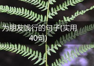 为朋友饯行的句子(实用40句)