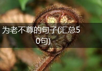为老不尊的句子(汇总50句)