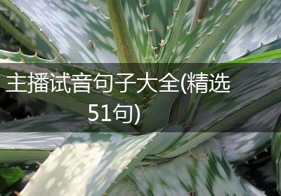 主播试音句子大全(精选51句)