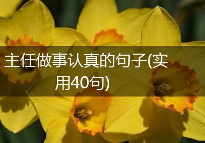 主任做事认真的句子(实用40句)