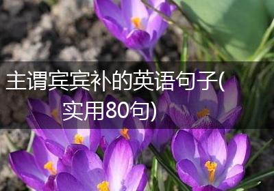 主谓宾宾补的英语句子(实用80句)