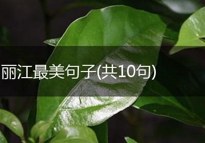 丽江最美句子(共10句)