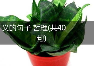 义的句子 哲理(共40句)