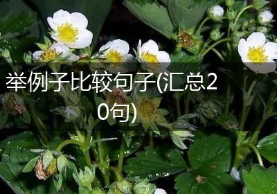 举例子比较句子(汇总20句)