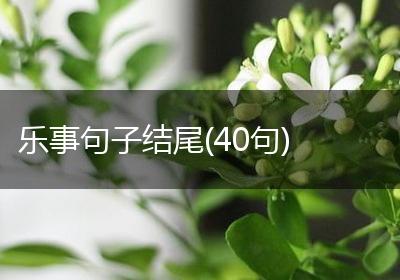 乐事句子结尾(40句)