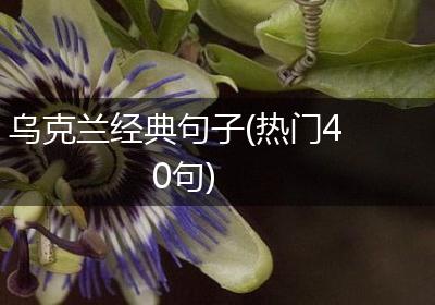 乌克兰经典句子(热门40句)