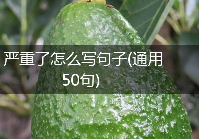 严重了怎么写句子(通用50句)