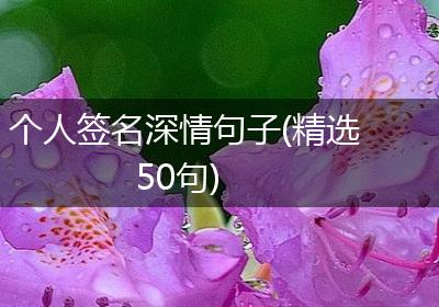个人签名深情句子(精选50句)