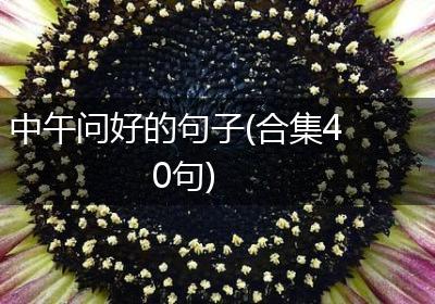 中午问好的句子(合集40句)