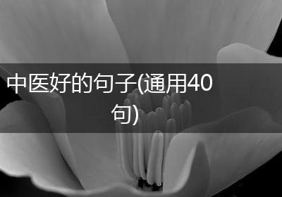 中医好的句子(通用40句)