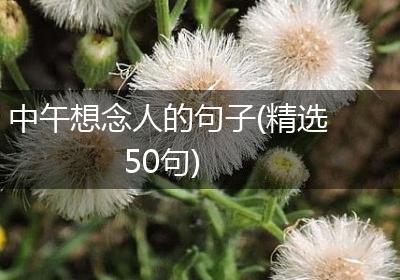 中午想念人的句子(精选50句)