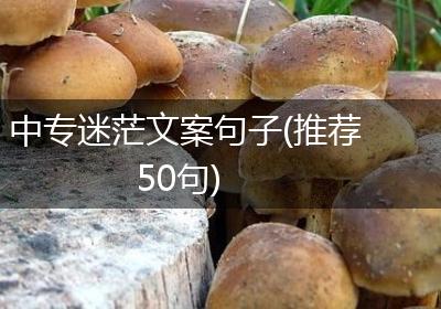 中专迷茫文案句子(推荐50句)