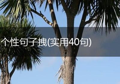 个性句子拽(实用40句)