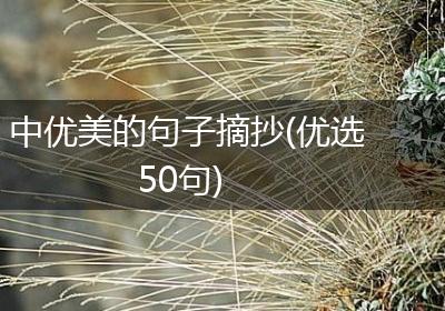 中优美的句子摘抄(优选50句)