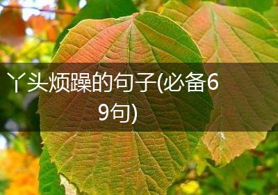 丫头烦躁的句子(必备69句)