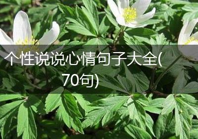 个性说说心情句子大全(70句)