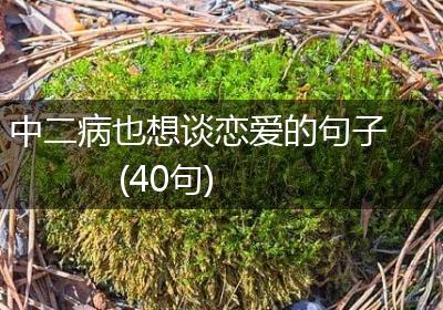 中二病也想谈恋爱的句子(40句)