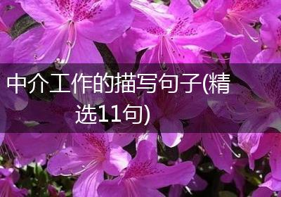 中介工作的描写句子(精选11句)