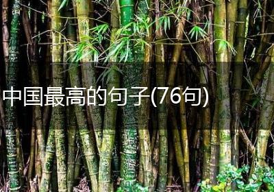 中国最高的句子(76句)