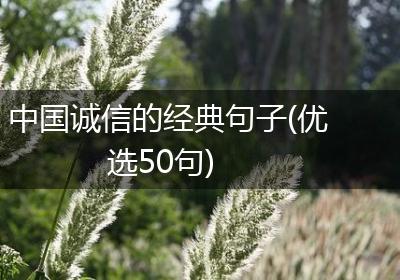 中国诚信的经典句子(优选50句)