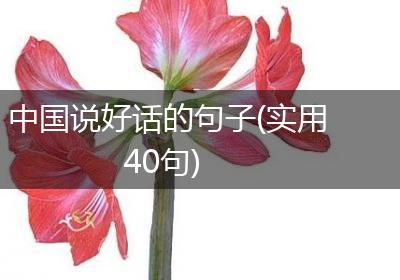 中国说好话的句子(实用40句)