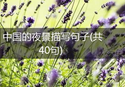 中国的夜景描写句子(共40句)