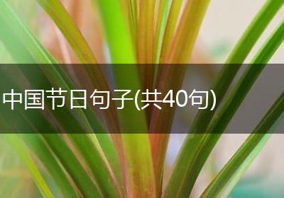 中国节日句子(共40句)