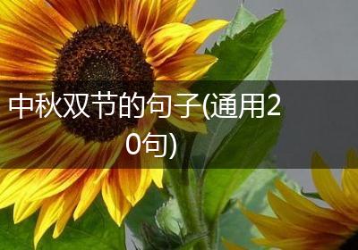 中秋双节的句子(通用20句)