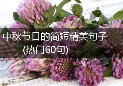 中秋节日的简短精美句子(热门60句)