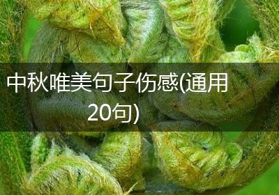 中秋唯美句子伤感(通用20句)