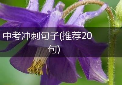 中考冲刺句子(推荐20句)