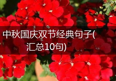 中秋国庆双节经典句子(汇总10句)