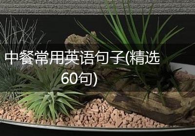 中餐常用英语句子(精选60句)