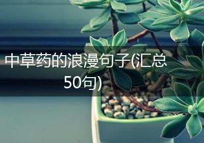 中草药的浪漫句子(汇总50句)