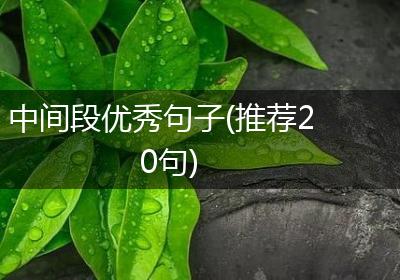 中间段优秀句子(推荐20句)